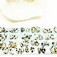 Dalmatian Jasper Earrings Crystal Mineral Studs - Thumbnail 3