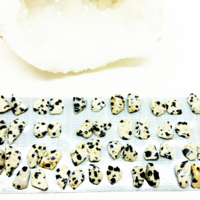 Dalmatian jasper earrings crystal mineral studs