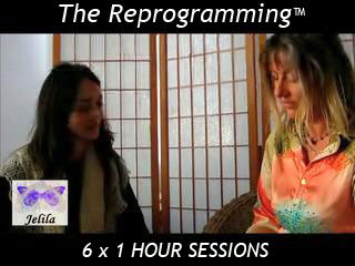 Reprog 6 x 1 Hour - Package