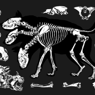 Cerberus skeleton art print