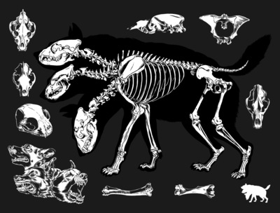 cerberus skeleton art print
