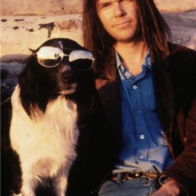 Neil young & art by henry diltz - fine art print photograph