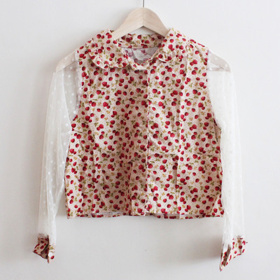 Strawberry fields crop