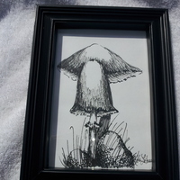 Magick Mushrooms Original Ink Sketch print - Thumbnail 1