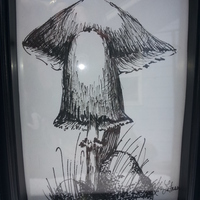 Magick Mushrooms Original Ink Sketch print - Thumbnail 2