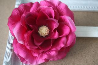 Beautiful Pink Flower with Cream flower center!