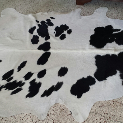 Brazilian black and white long hair hereford 