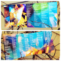 Pretty & Nice - Golden Rules For Golden People Cassette + DL - Thumbnail 4