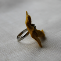 Brittany ring - Thumbnail 1