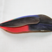 Sam clip - Thumbnail 1