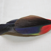 Sam clip - Thumbnail 2