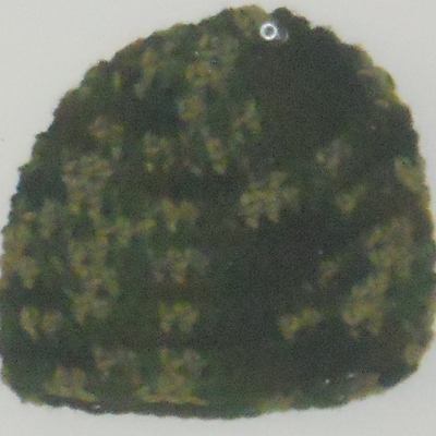 Camoflage crochet baby beanie hat