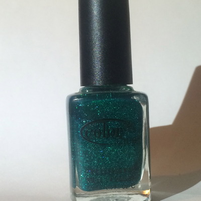 Color club - untamed luxury