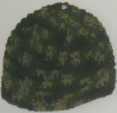 Camuoflage Crochet Adult Beanie Hat 