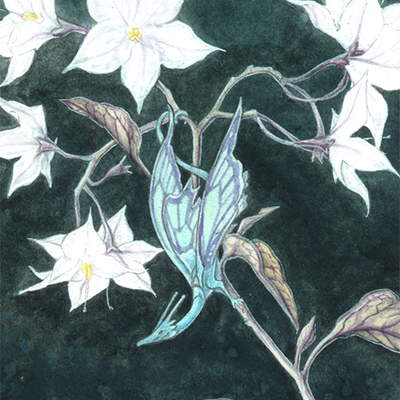 Aceo print: "nightshade" giclee