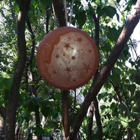 Mystic Moon Bar - Thumbnail 2