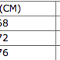 New Arrivals Sexy Leopard Bikini - Thumbnail 1