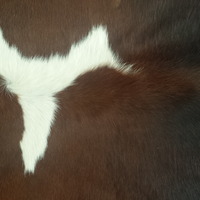 Brazilian Brown and Reddish Cowhide Hide FREE SHIPPING - Thumbnail 1