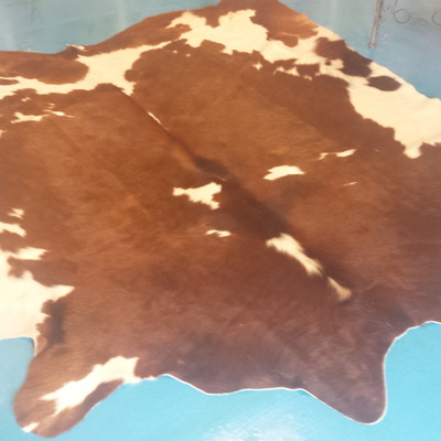 Free shipping large brazilian chocolate brown and white. ..stunning 
