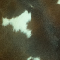 FREE SHIPPING Large Brazilian chocolate brown and white. ..stunning  - Thumbnail 1