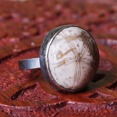 Sand dollar fossil and sterling silver handmade ring by thornbird studios
