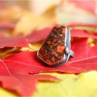 Apple coral fossil and sterling silver ring (size 6) by Thornbird Studios - Thumbnail 1