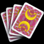 Moon Prism Playing Cards-1