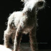 Mirjam VanBenthem  - Thumbnail 1