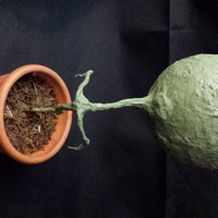 Davide Scianca - Thumbnail 1