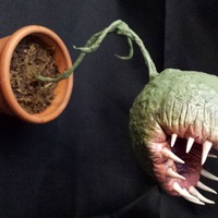 Davide Scianca - Thumbnail 2