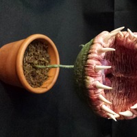 Davide Scianca - Thumbnail 3