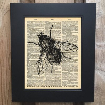 Fly on the wall art print on upcycled vintage dictionary page #0081