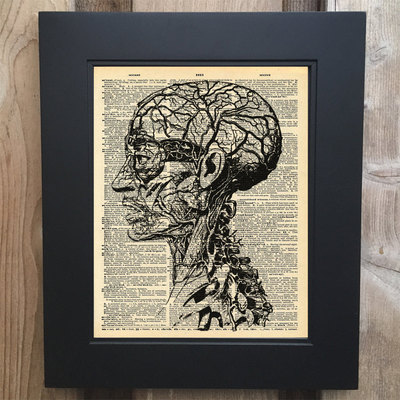 Anatomy skull art print on upcycled vintage dictionary page #0074