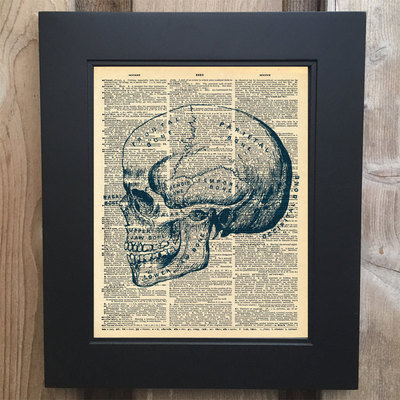 Anatomy skull art print on upcycled vintage dictionary page #0073