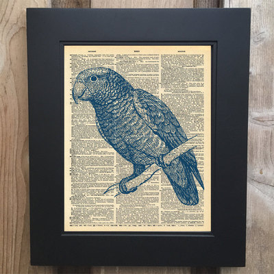 Cool parrot art print on upcycled vintage dictionary page #0059