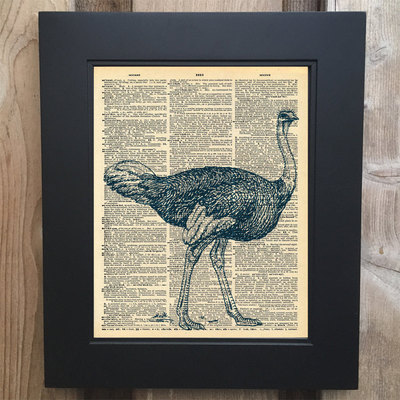 Cool ostrich head art print on upcycled vintage dictionary page #0055