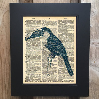 Cool toucan art print on upcycled vintage dictionary page #0052