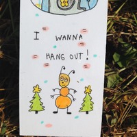 Leafcutting Bee - Thumbnail 2