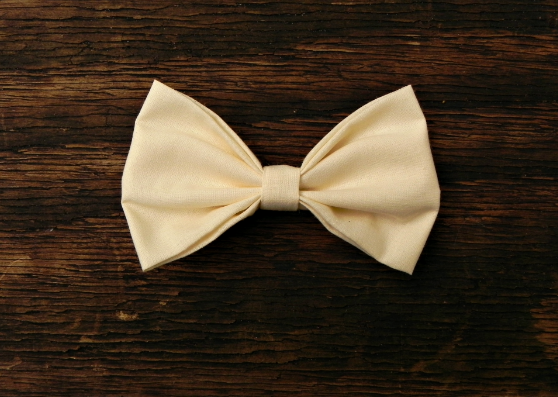 Pastel Cream Bow