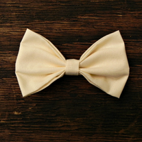 Pastel Cream Bow