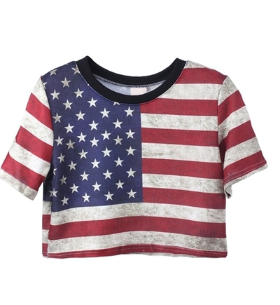 Sexy Cropped American Flag T-Shirt