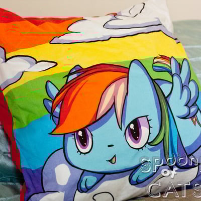 Rainbow dash ponycat pillowcase