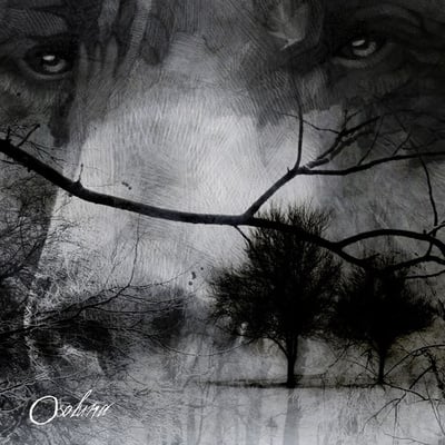 Oso luna s/t lp - Thumbnail 3