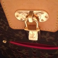 Louis Vuitton Limited Edition Speedy - Thumbnail 1