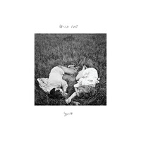 Wild Cub - Youth // 12'' LP Vinyl - Thumbnail 1