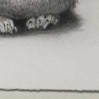 Hear No Evil - Bunny Print - Thumbnail 3