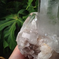 Large Crystal Quartz Cluster - Thumbnail 4