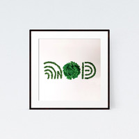 Cilantro - Thumbnail 1