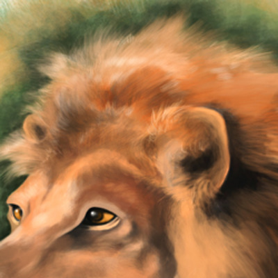 Lion portrait 