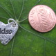 Heart Charm medium-1
